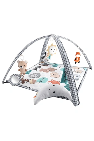 Baby Play Gym/mat