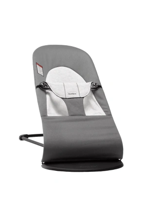 Baby Rocker/Bouncer