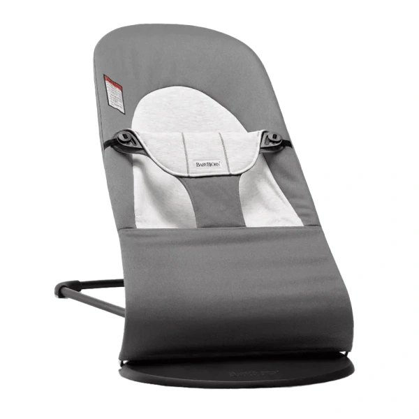Baby Rocker/Bouncer